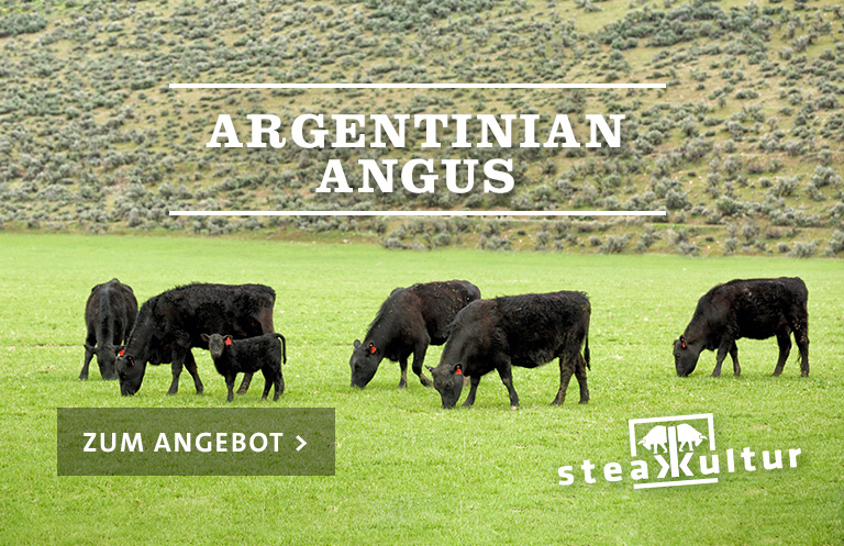 Argentinian Angus