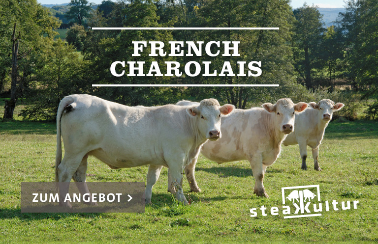 French Charolais