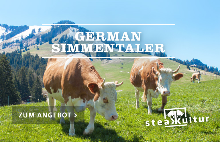 German Simmentaler