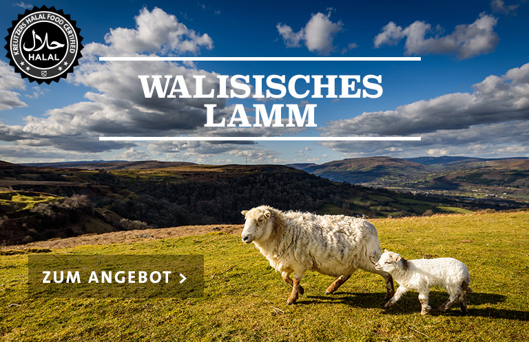 Walisisches Lamm