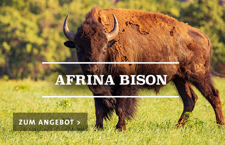 Afrina Bison