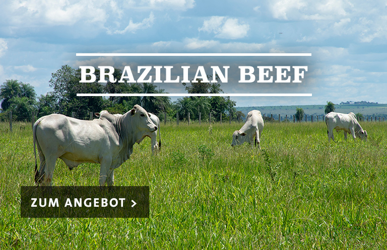 Brazilian Beef