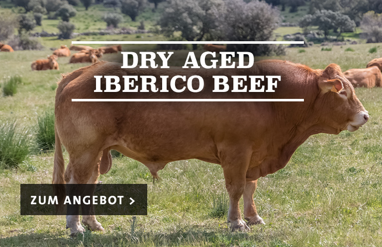 Dry Aged Iberico Beef