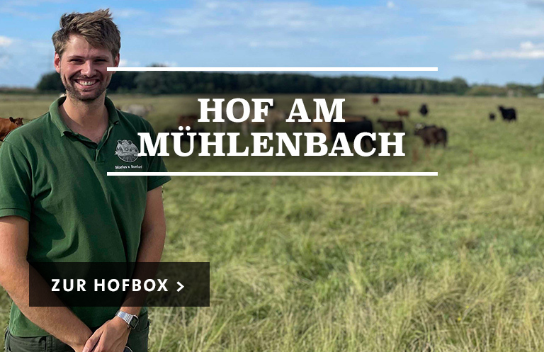 Hof am Mühlenbach