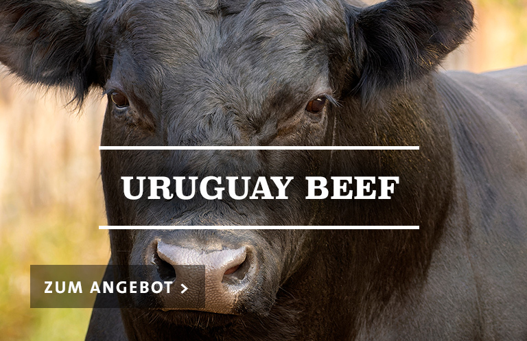 Uruguay Beef
