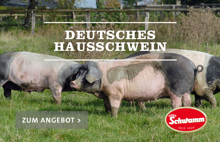 Deutsches Hausschwein
